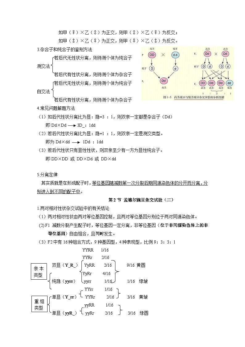 05 衡水中学高三生物一轮复习资料——遗传因子第2页