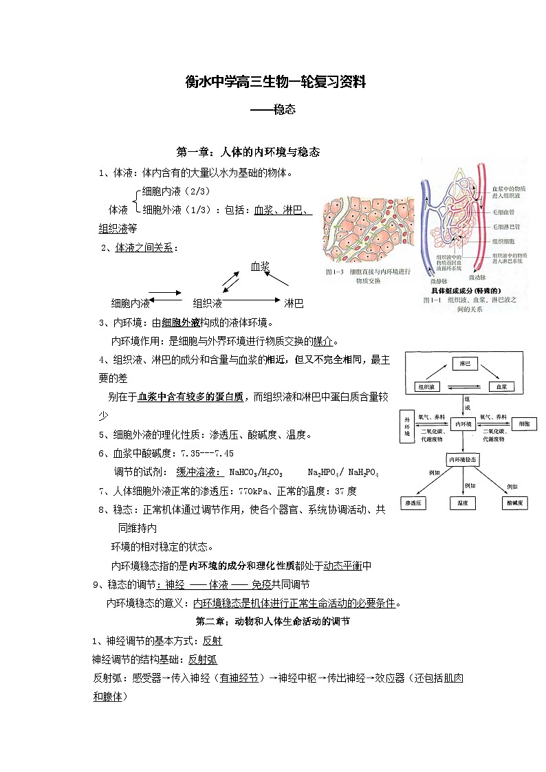 07 衡水中学高三生物一轮复习资料——稳态第1页