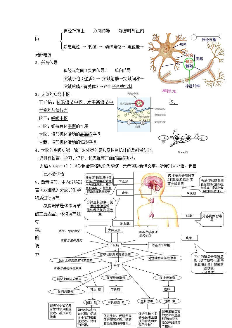 07 衡水中学高三生物一轮复习资料——稳态第2页