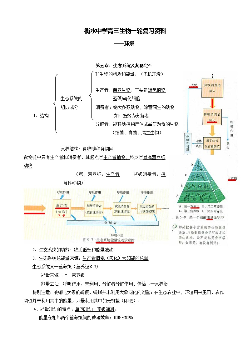 08 衡水中学高三生物一轮复习资料——环境第1页