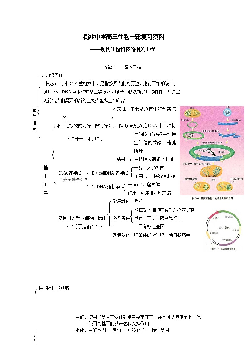 09 衡水中学高三生物一轮复习资料——现代生物科技的相关工程第1页