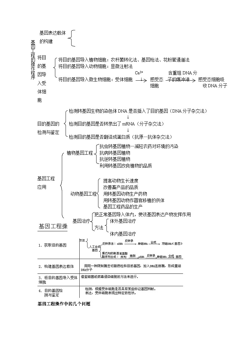 09 衡水中学高三生物一轮复习资料——现代生物科技的相关工程第2页