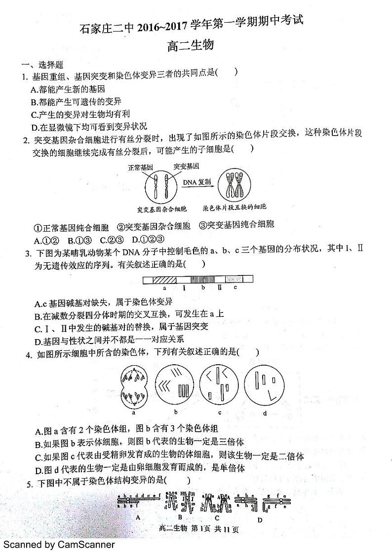 河北省石家庄市第二中学2016-2017学年高二上学期期中考试生物试题（PDF版）01