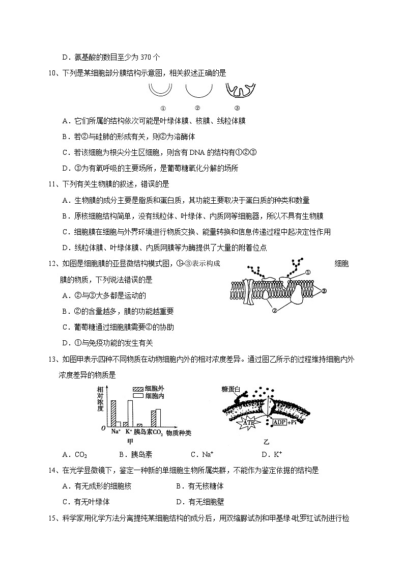 湖北省黄冈中学2014-2015学年高二下学期期中考试生物试题第3页
