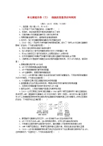 2024版新教材高考生物复习特训卷单元清通关卷三细胞的能量供应和利用