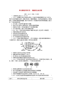 2024版新教材高考生物复习特训卷单元清通关卷四细胞的生命历程