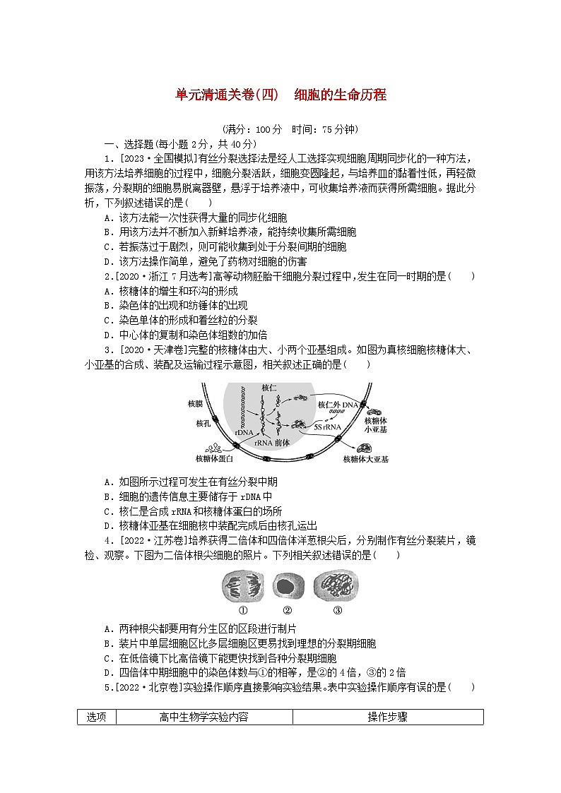 2024版新教材高考生物复习特训卷单元清通关卷四细胞的生命历程第1页