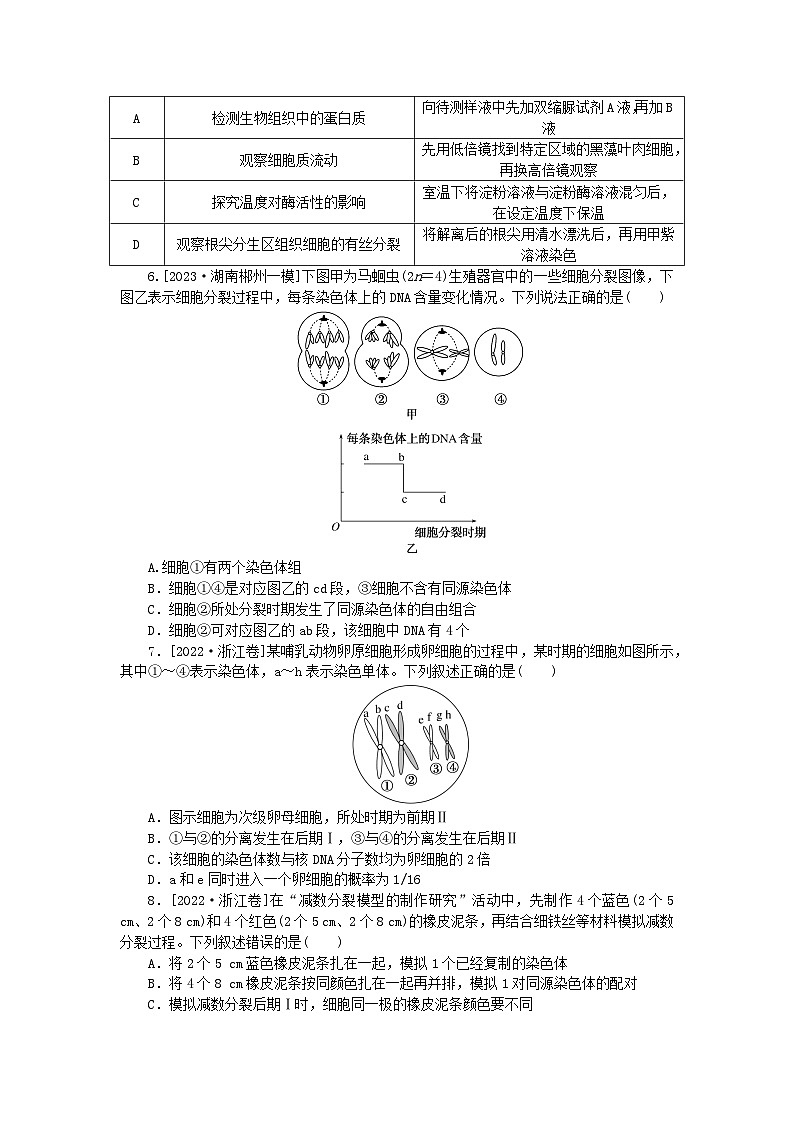 2024版新教材高考生物复习特训卷单元清通关卷四细胞的生命历程第2页