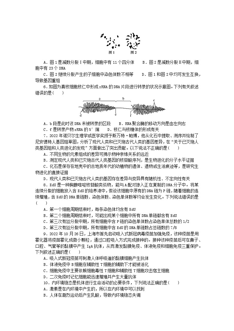 2024版新教材高考生物复习特训卷仿真模拟冲刺标准练一02