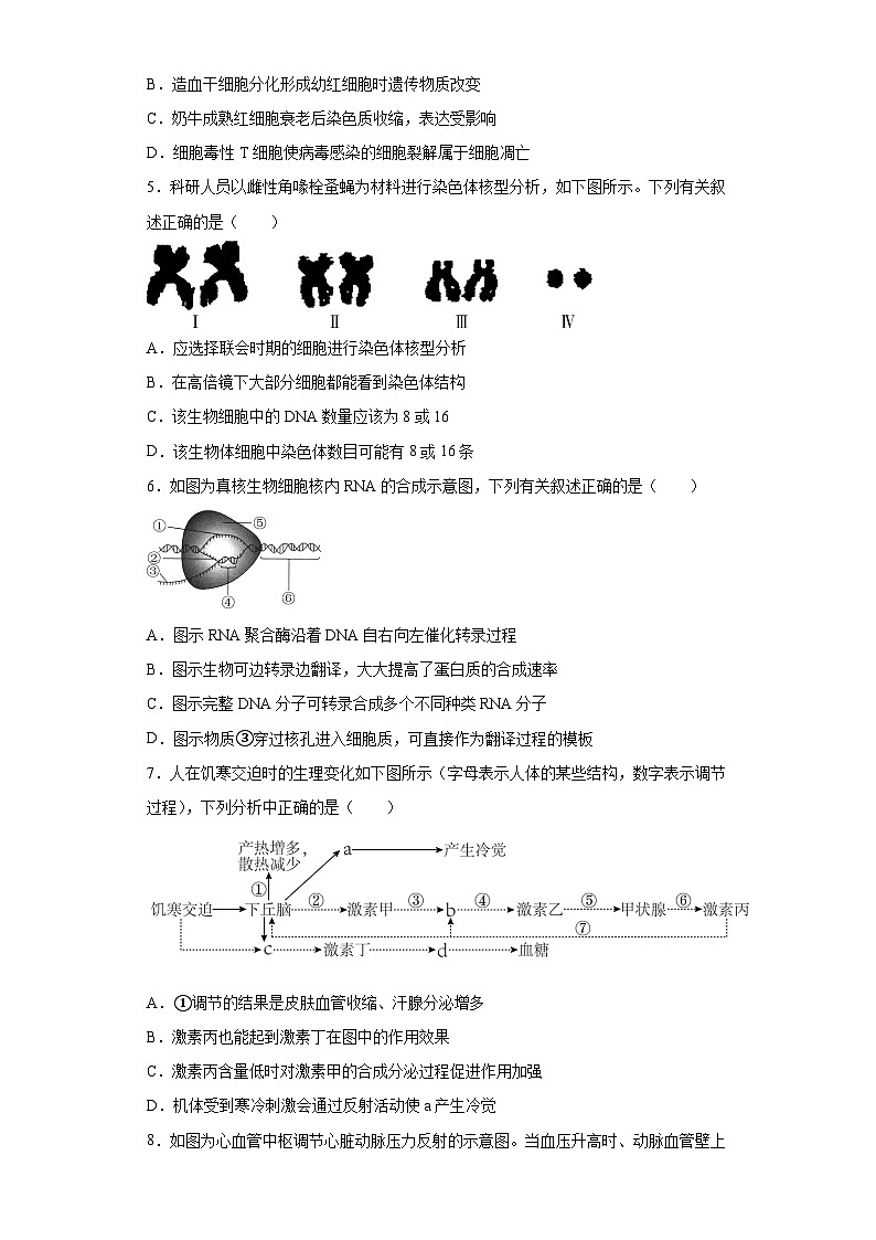 2023届江苏省常州市前黄高级中学高三考前攀登行动（一）生物试题（含解析）02