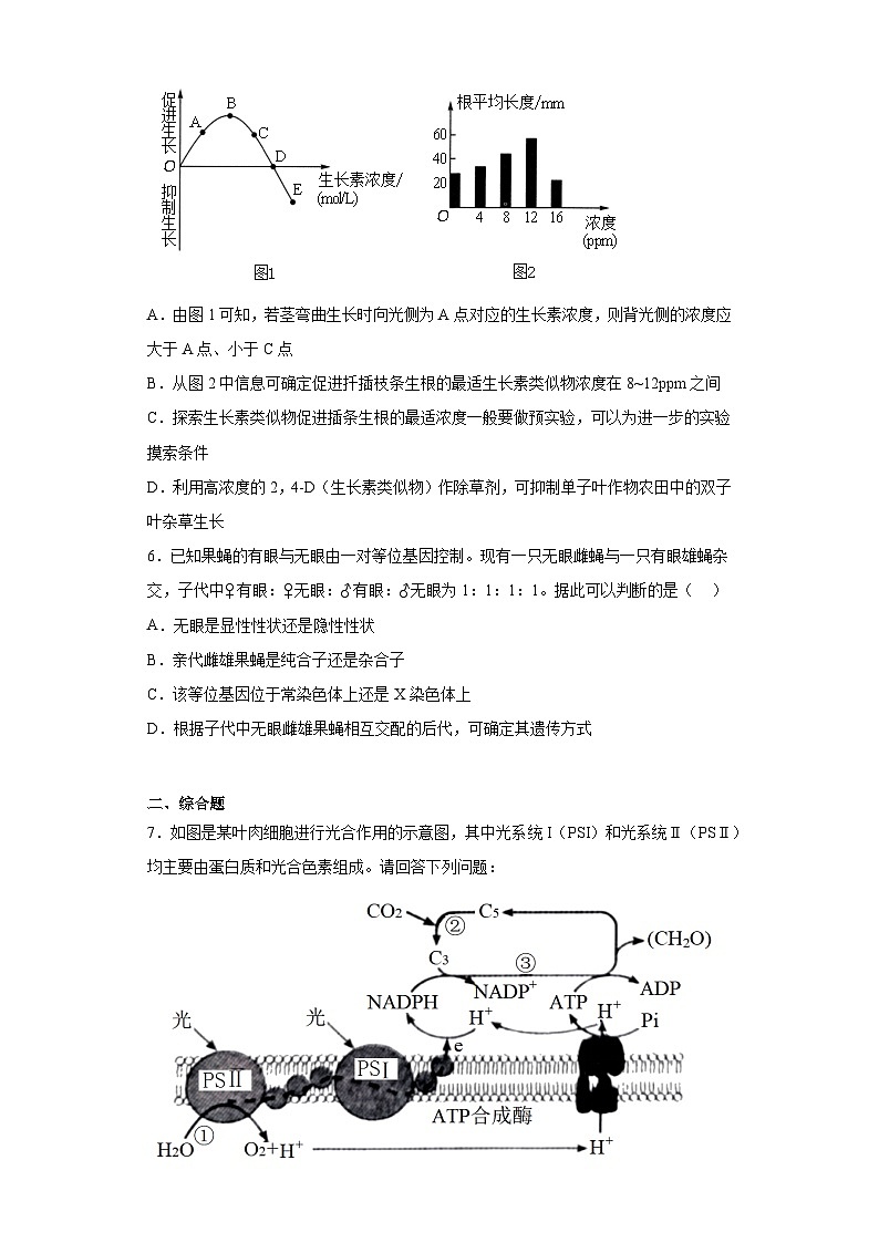 2023届四川省成都市石室中学高三下学期高考适应性考试（二）理综生物试题（含解析）02