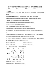 四川省内江市第六中学2022-2023学年高一下学期期中生物试卷(含答案)