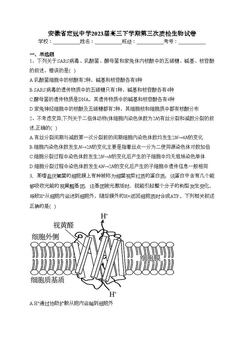 安徽省定远中学2023届高三下学期第三次质检生物试卷(含答案)01