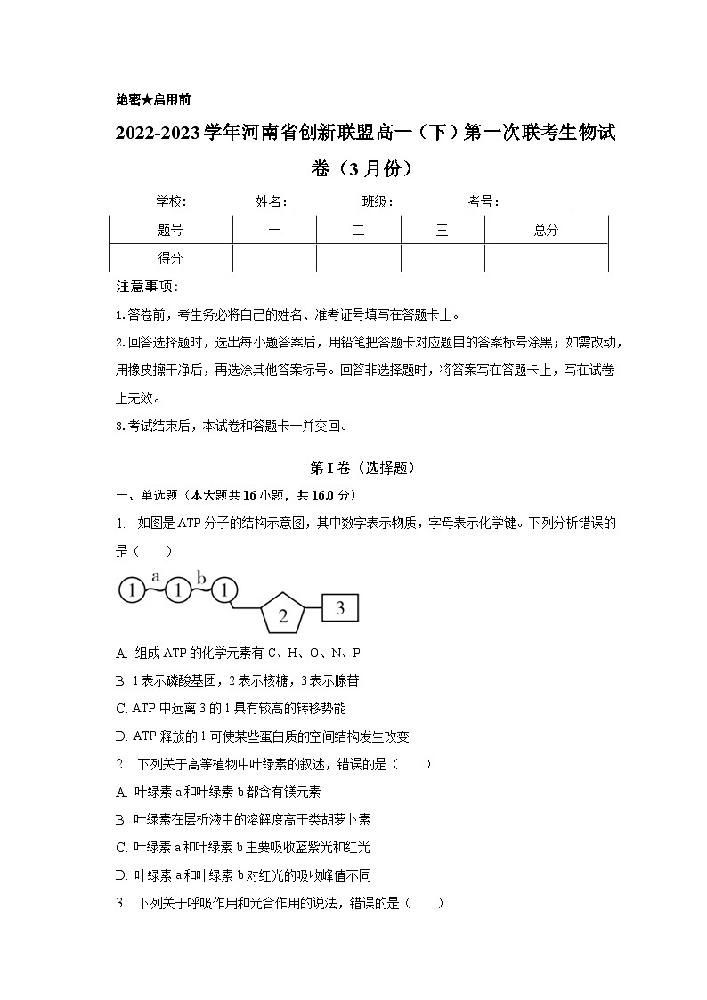 2022-2023学年河南省创新联盟高一（下）第一次联考生物试卷（3月份）（含解析）第1页