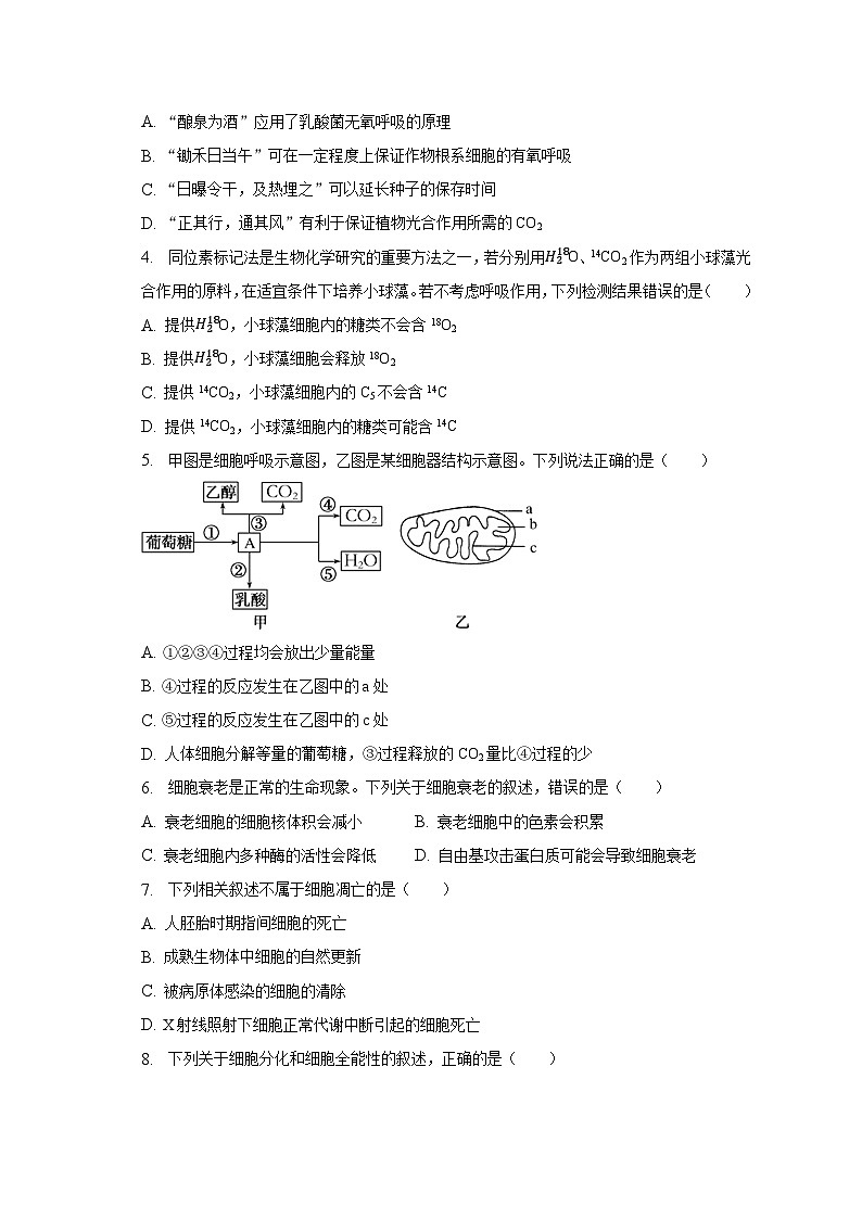 2022-2023学年河南省创新联盟高一（下）第一次联考生物试卷（3月份）（含解析）第2页