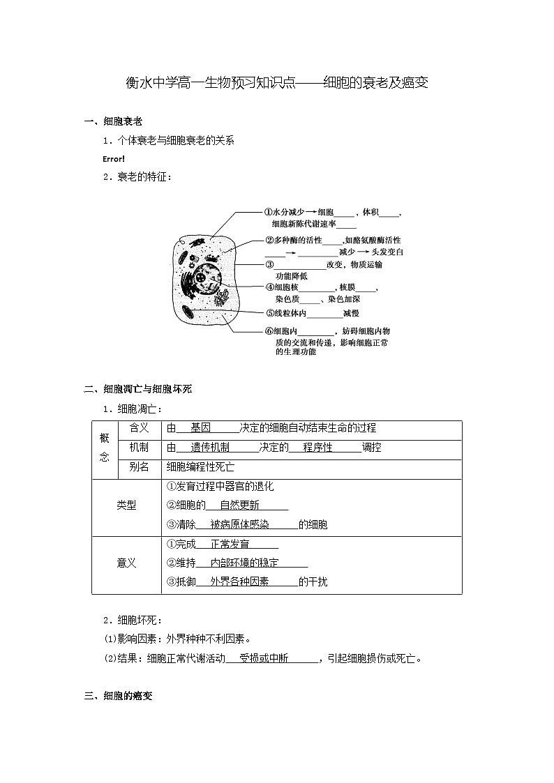 10 衡水中学高一生物预习知识点——细胞的衰老及癌变01