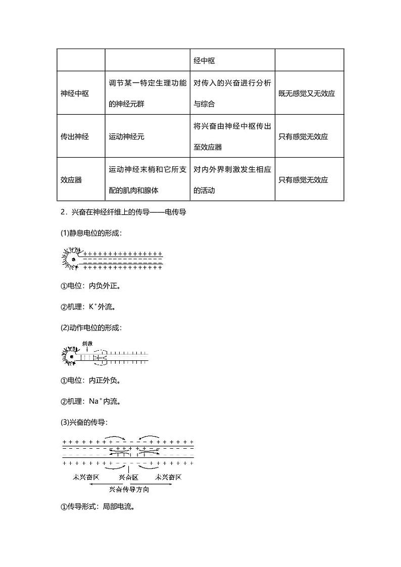 专题09 高中生物二轮专题知识点 人和动物生命活动的调节第2页