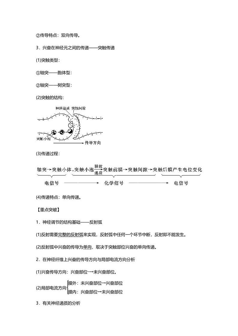 专题09 高中生物二轮专题知识点 人和动物生命活动的调节第3页