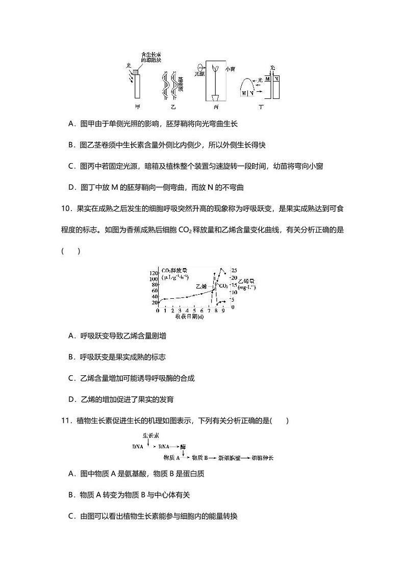 专题11 高中生物二轮专题押题卷 植物的激素调节第3页