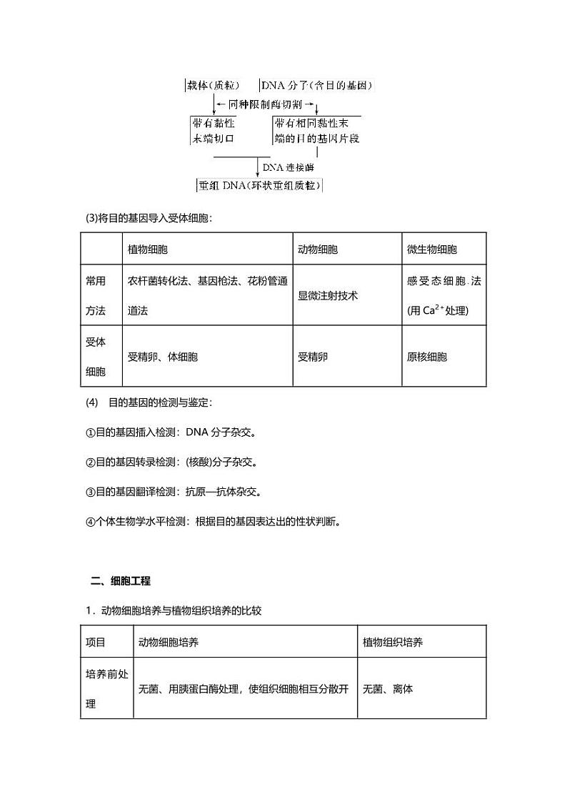 专题15 高中生物知识点 基因工程和细胞工程03