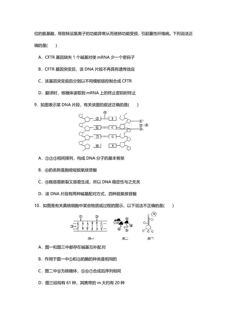 专题06 高中生物二轮专题押题卷 遗传的分子基础第3页