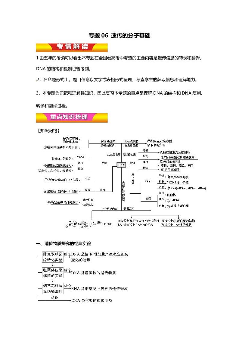 专题06 高中生物二轮专题知识点 遗传的分子基础第1页