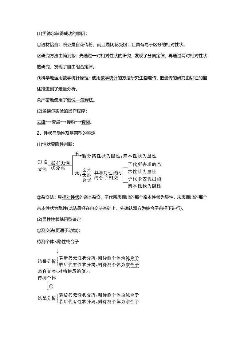 专题07 高中生物二轮专题知识点 遗传的基本规律及人类遗传病第2页