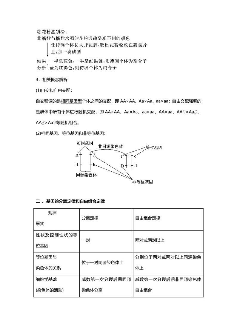 专题07 高中生物二轮专题知识点 遗传的基本规律及人类遗传病第3页