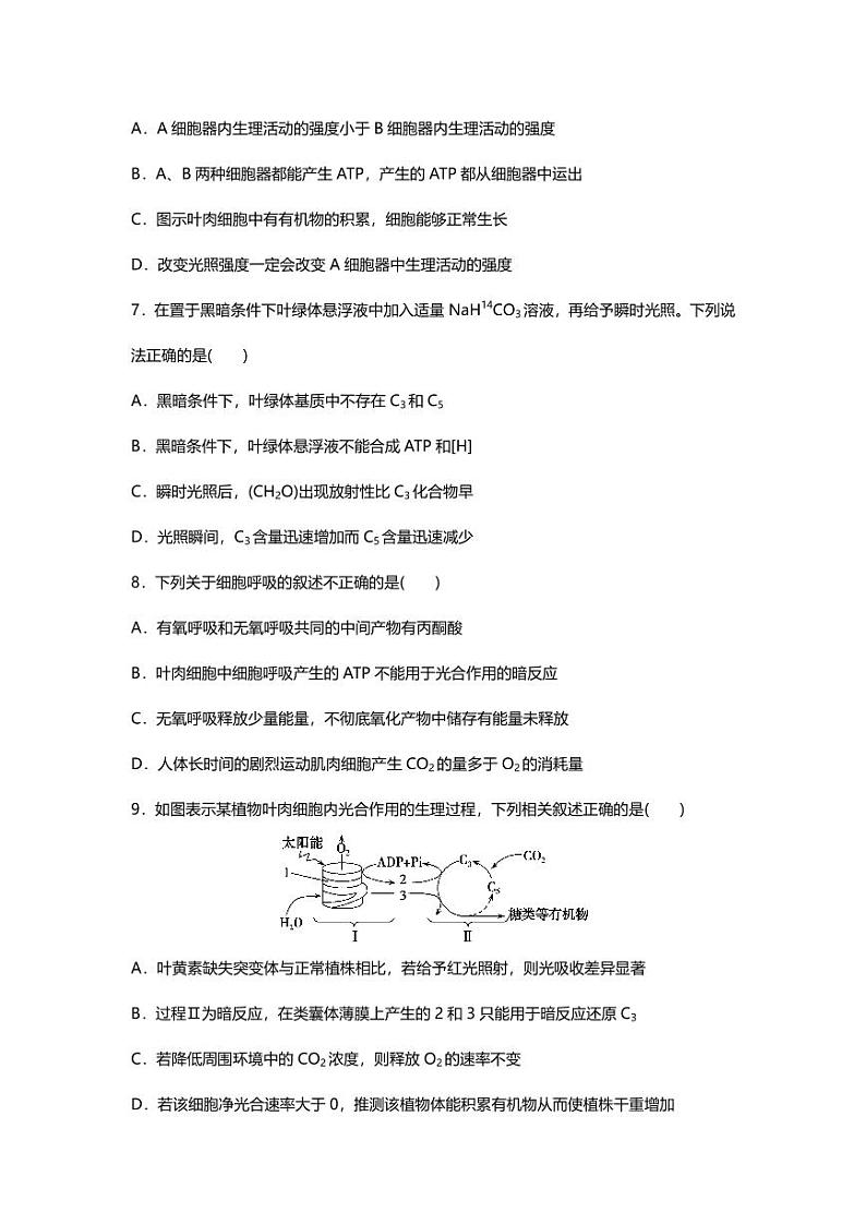专题04 高中生物二轮专题押题卷 光合作用与细胞呼吸第3页