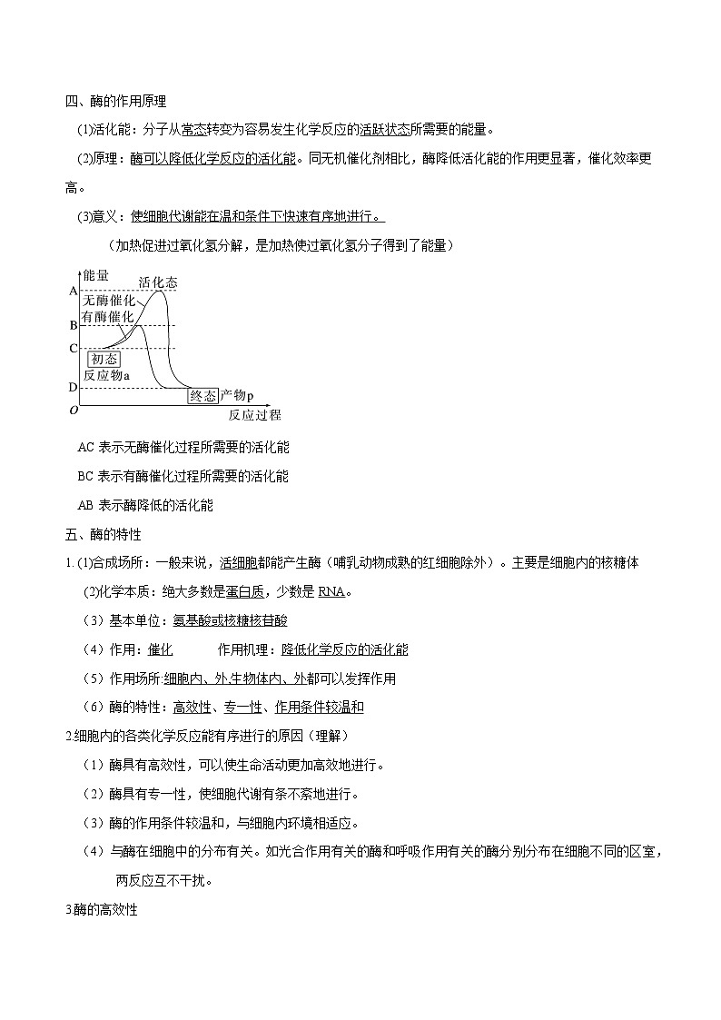 第5章 细胞的能量供应和利用——【期末复习】高一生物单元必背知识点梳理（人教版2019必修1）02