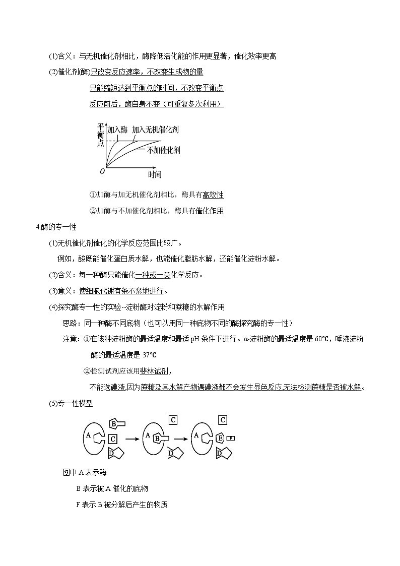第5章 细胞的能量供应和利用——【期末复习】高一生物单元必背知识点梳理（人教版2019必修1）03