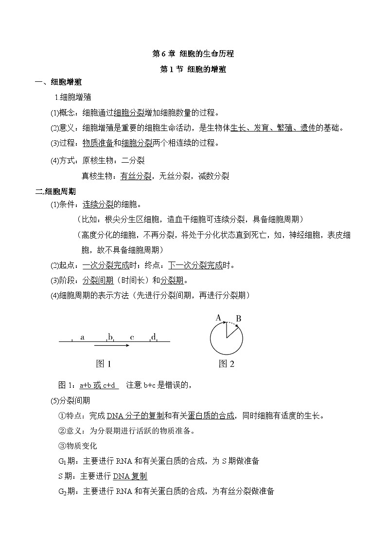第6章 细胞的生命历程——【期末复习】高一生物单元必背知识点梳理（人教版2019必修1）第1页