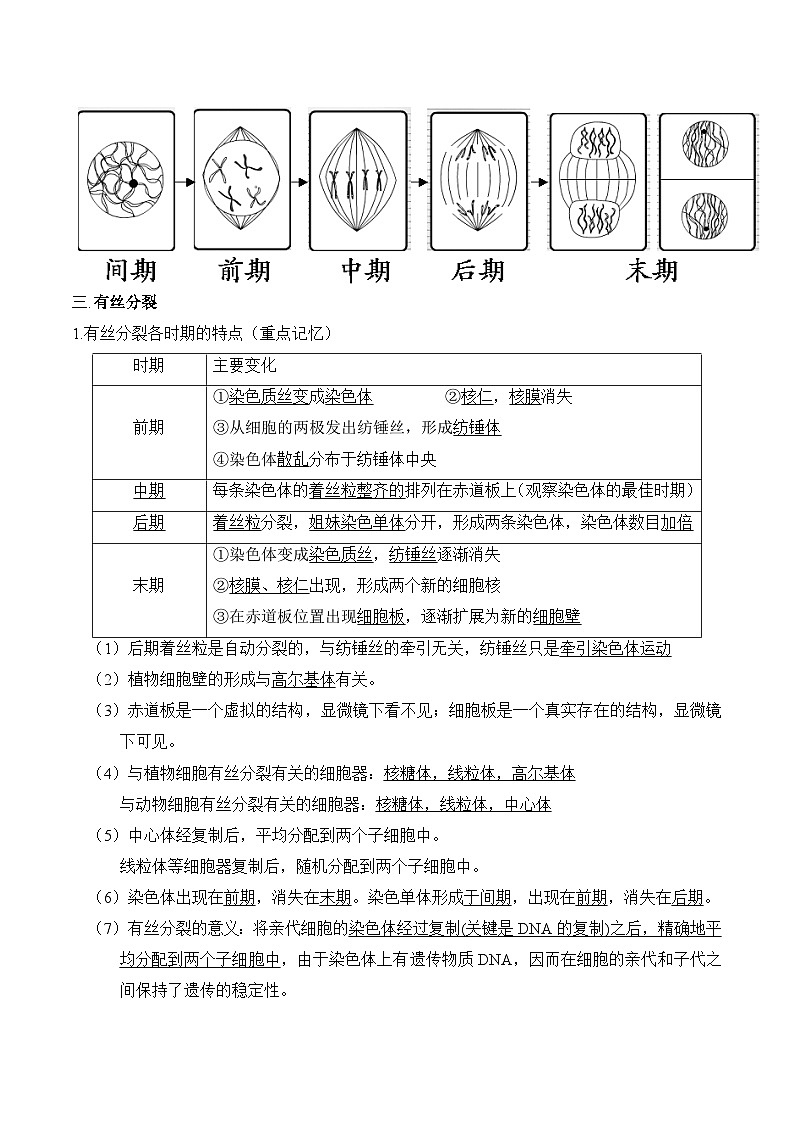 第6章 细胞的生命历程——【期末复习】高一生物单元必背知识点梳理（人教版2019必修1）第2页
