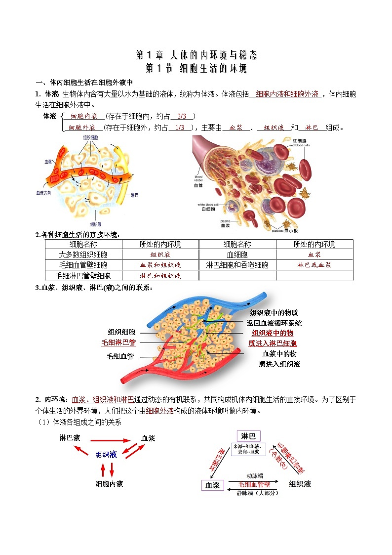 第1章 人体的内环境与稳态——【期末复习】高二上学期生物章节知识点梳理（人教版2019选择性必修1）01