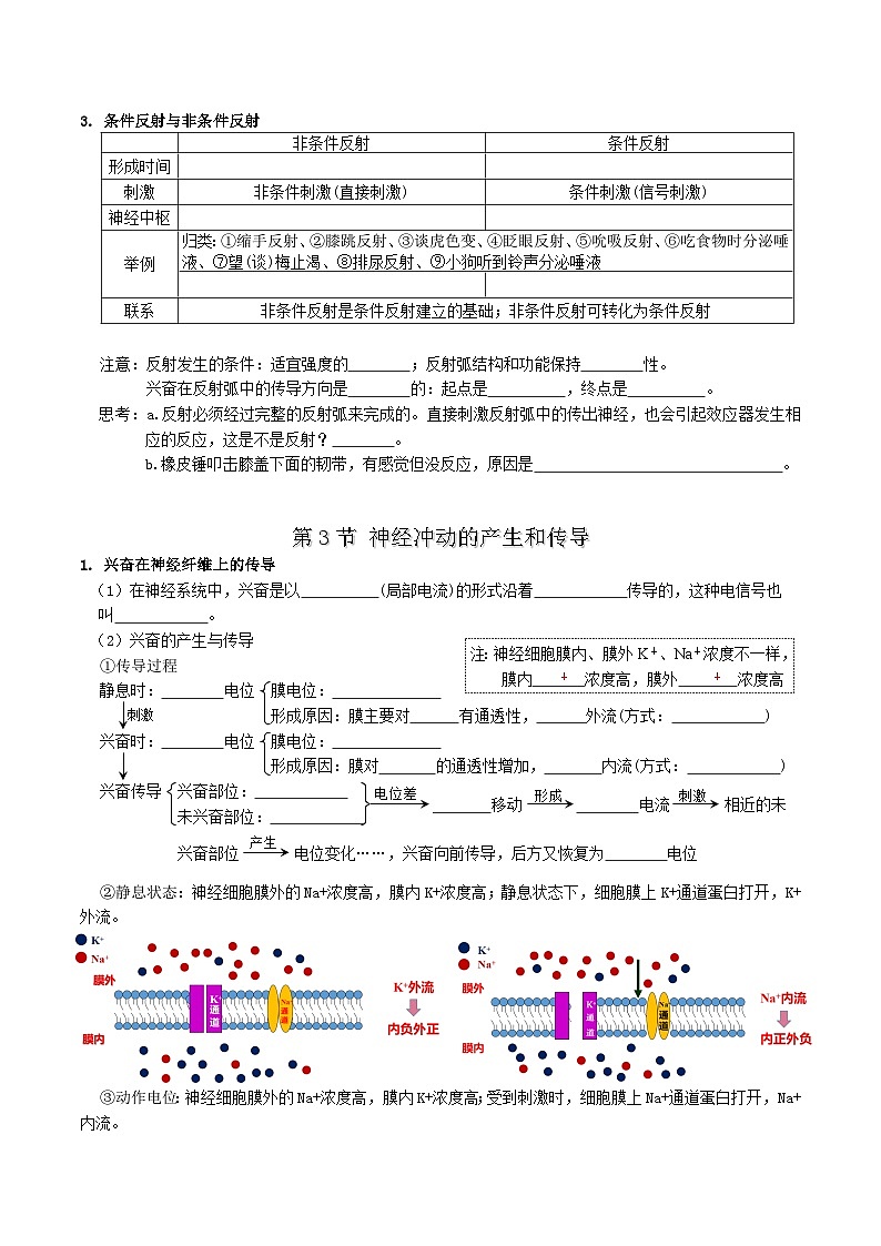 第2章 神经调节——【期末复习】高二上学期生物章节知识点梳理（人教版2019选择性必修1）03