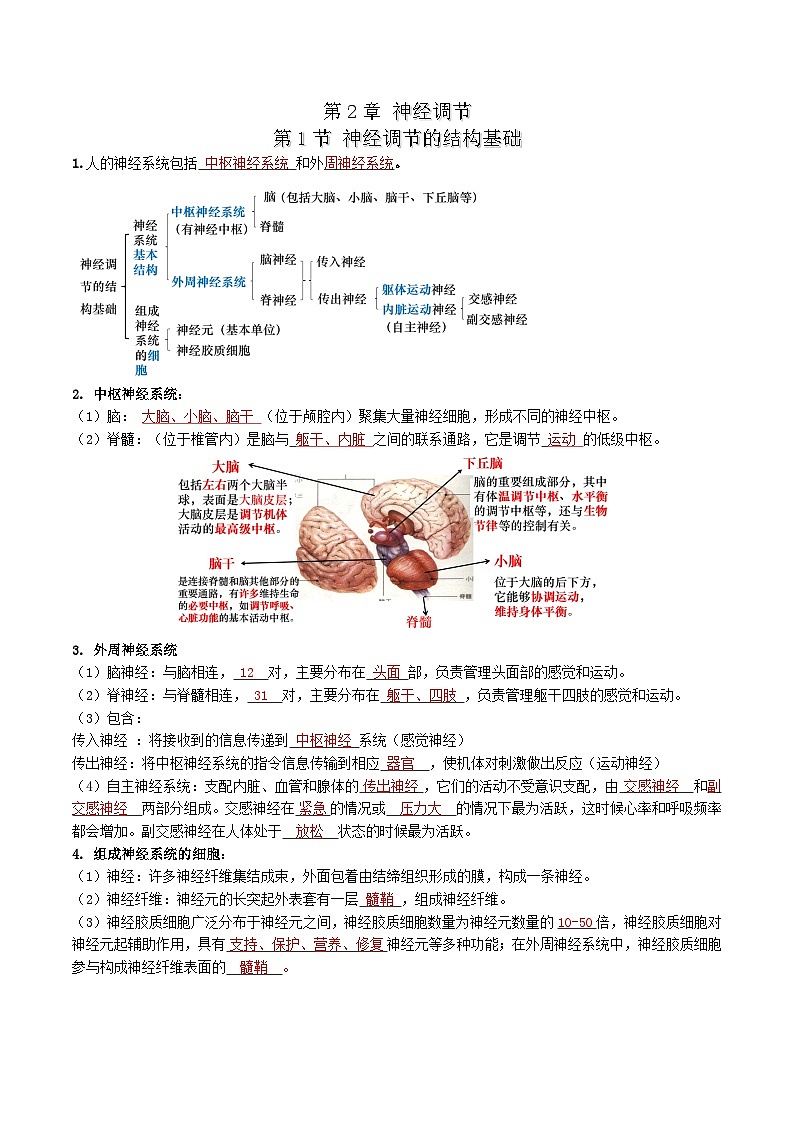 第2章 神经调节——【期末复习】高二上学期生物章节知识点梳理（人教版2019选择性必修1）01
