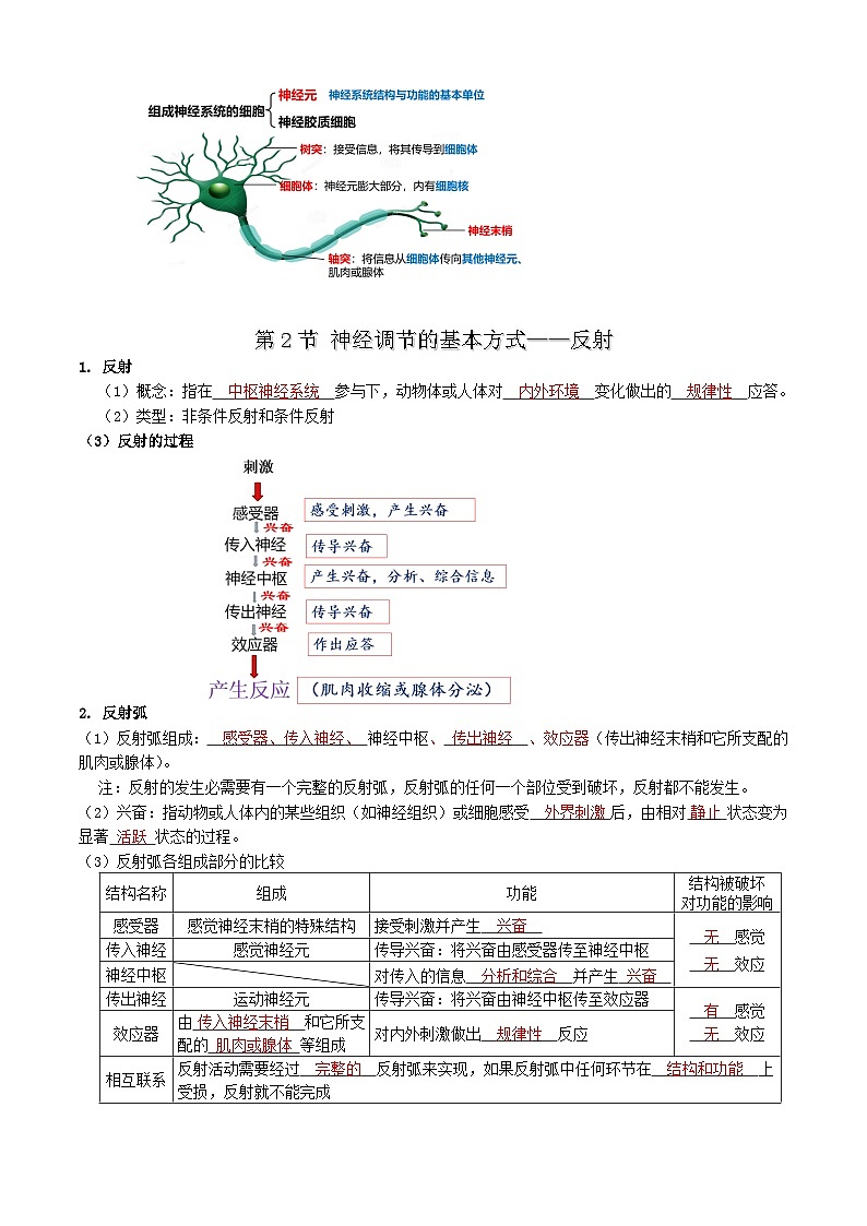第2章 神经调节——【期末复习】高二上学期生物章节知识点梳理（人教版2019选择性必修1）02