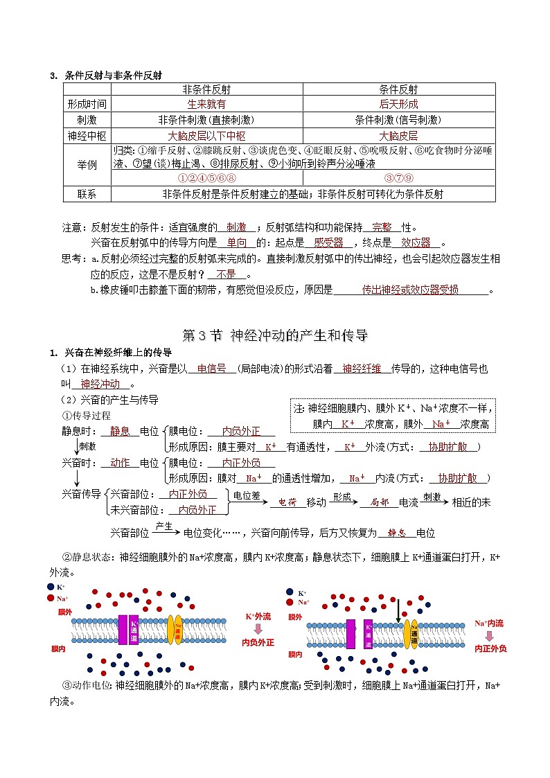 第2章 神经调节——【期末复习】高二上学期生物章节知识点梳理（人教版2019选择性必修1）03
