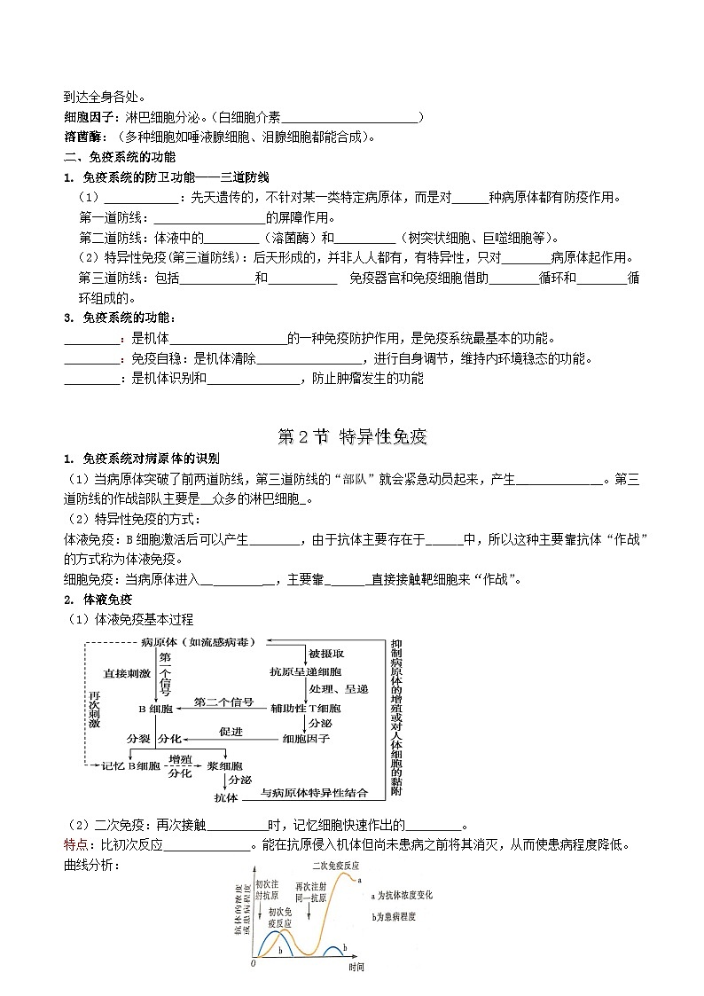 第4章 免疫调节——【期末复习】高二上学期生物章节知识点梳理（人教版2019选择性必修1）02