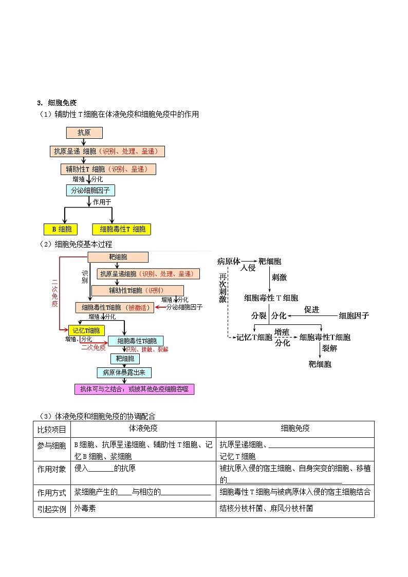 第4章 免疫调节——【期末复习】高二上学期生物章节知识点梳理（人教版2019选择性必修1）03