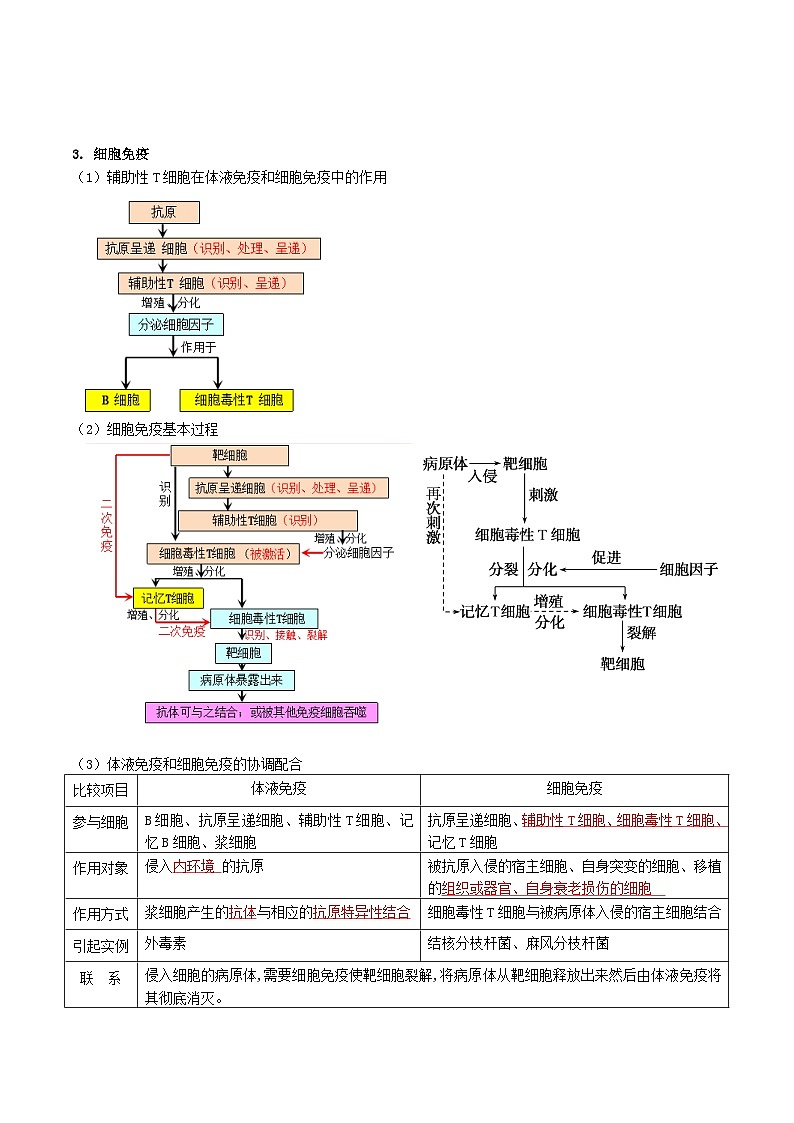 第4章 免疫调节——【期末复习】高二上学期生物章节知识点梳理（人教版2019选择性必修1）03