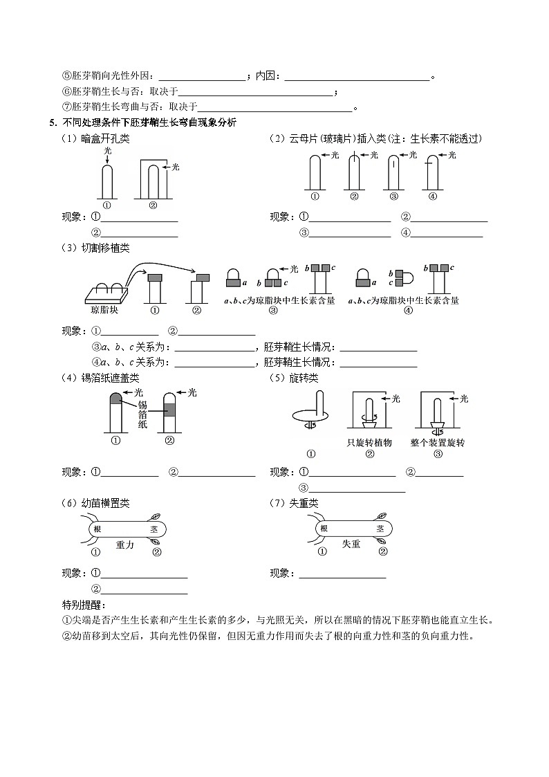 第5章 植物生命活动的调节——【期末复习】高二上学期生物必背知识点梳理（人教版2019选择性必修1）（学生版）第3页