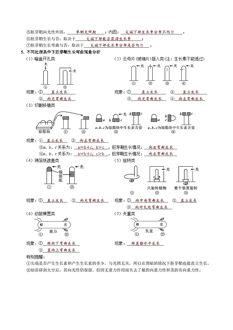 第5章 植物生命活动的调节——【期末复习】高二上学期生物必背知识点梳理（人教版2019选择性必修1）（教师版）第3页