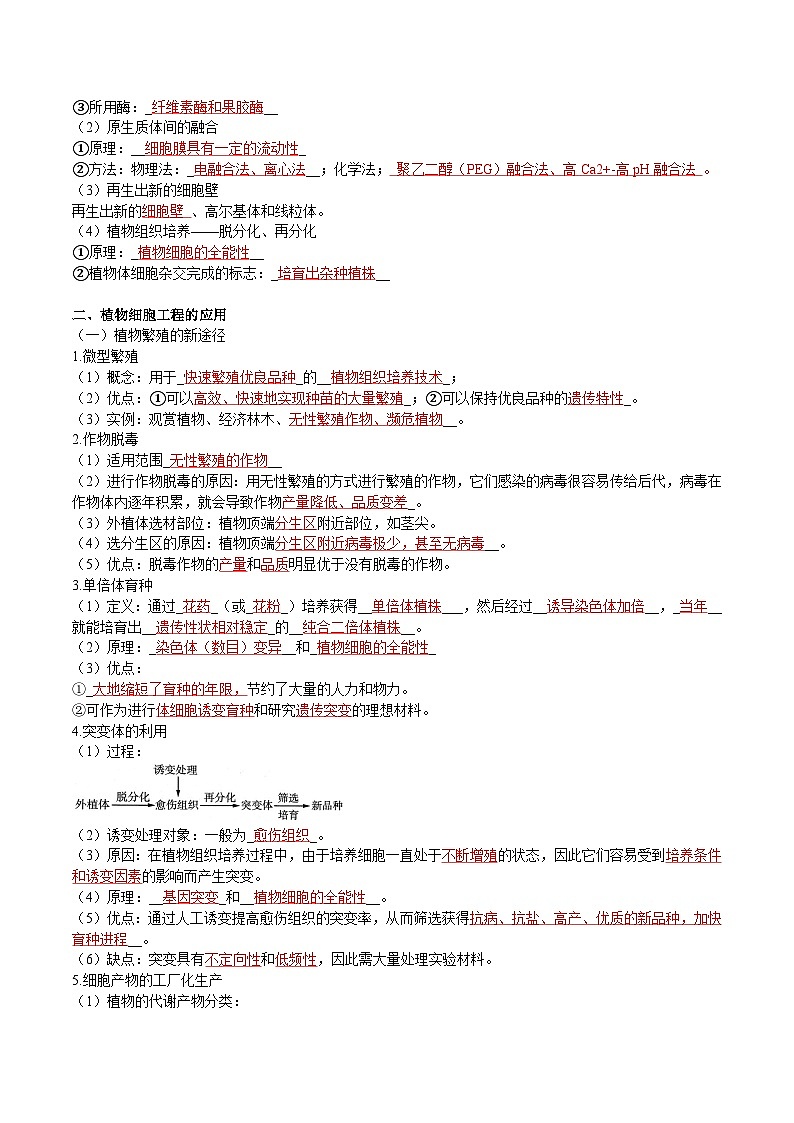 第2章 细胞工程——【期末复习】高二下学期生物章节知识点梳理（人教版2019选择性必修3）03