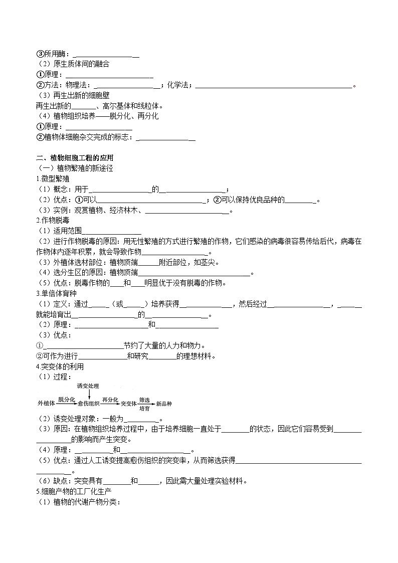 第2章 细胞工程——【期末复习】高二下学期生物章节知识点梳理（人教版2019选择性必修3）03
