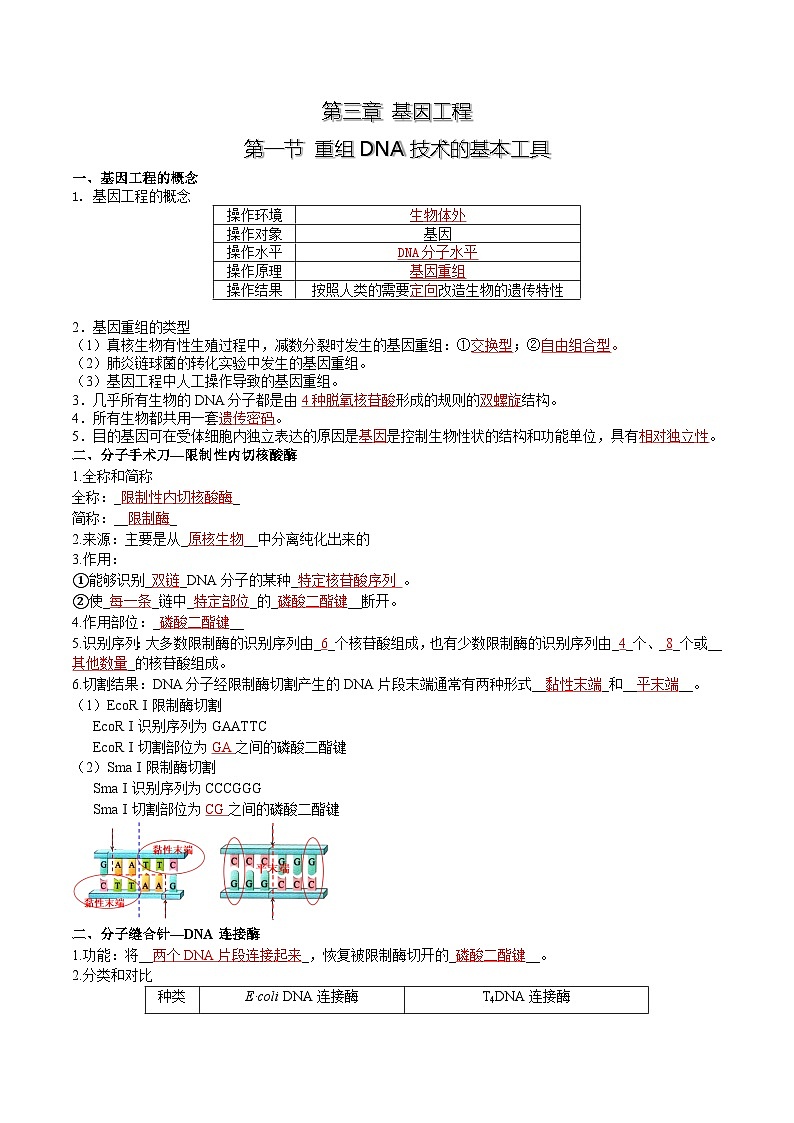 第3章 基因工程——【期末复习】高二下学期生物章节知识点梳理（人教版2019选择性必修3）01