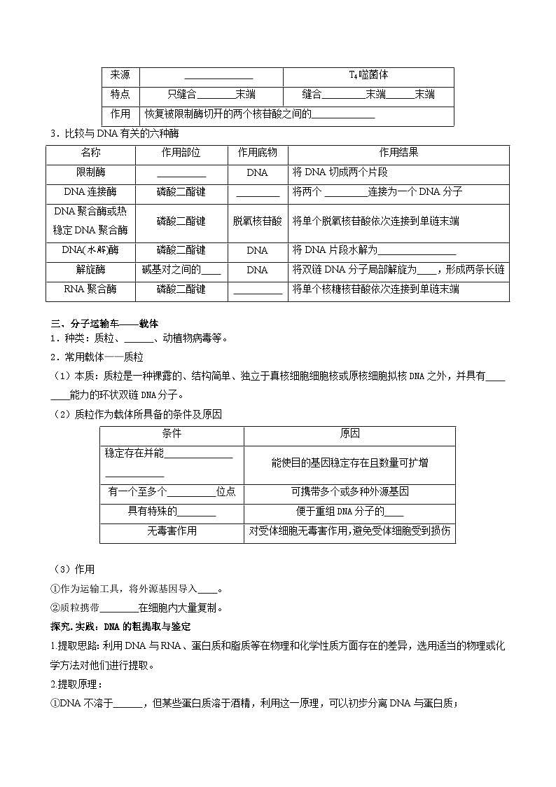 第3章 基因工程——【期末复习】高二下学期生物章节知识点梳理（人教版2019选择性必修3）02