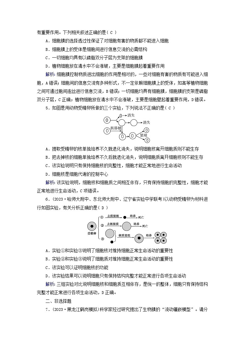 新高考适用2024版高考生物一轮总复习练案4必修1分子与细胞第二单元细胞的基本结构与物质输入和输出第1讲细胞膜和细胞核第2页
