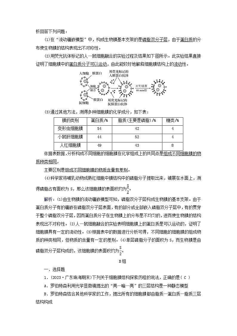 新高考适用2024版高考生物一轮总复习练案4必修1分子与细胞第二单元细胞的基本结构与物质输入和输出第1讲细胞膜和细胞核第3页