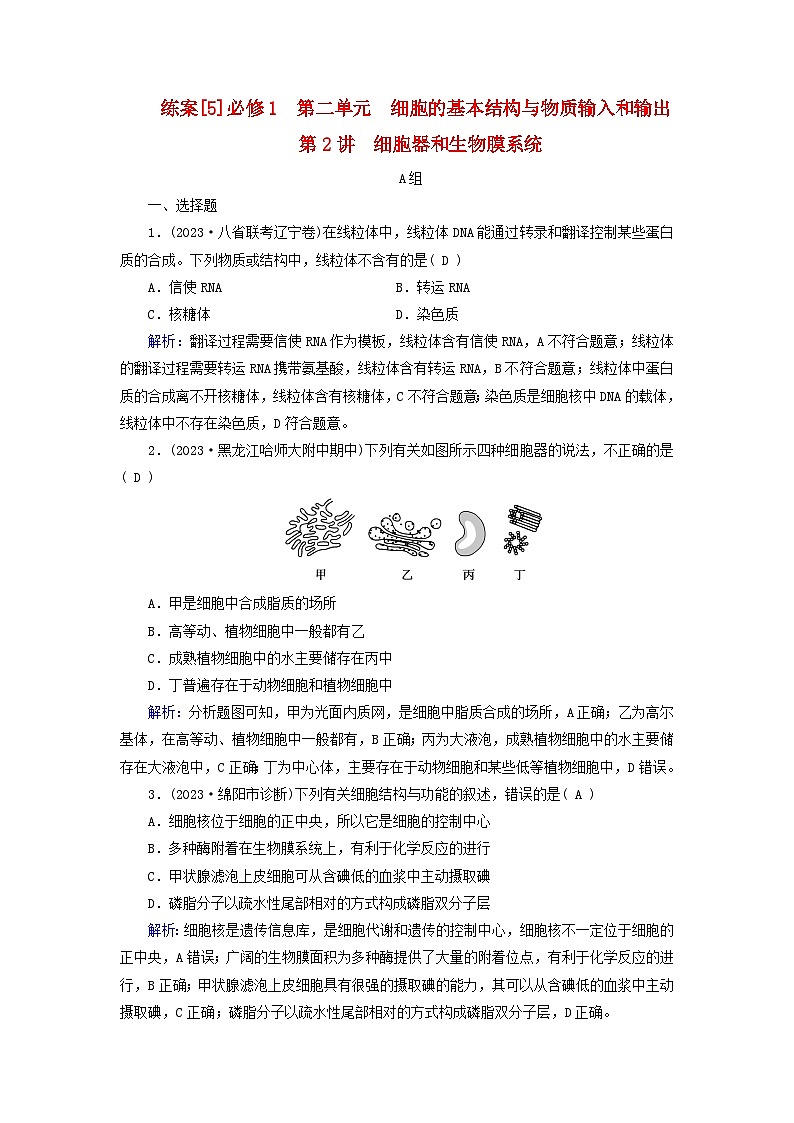 新高考适用2024版高考生物一轮总复习练案5必修1分子与细胞第二单元细胞的基本结构与物质输入和输出第2讲细胞器和生物膜系统第1页